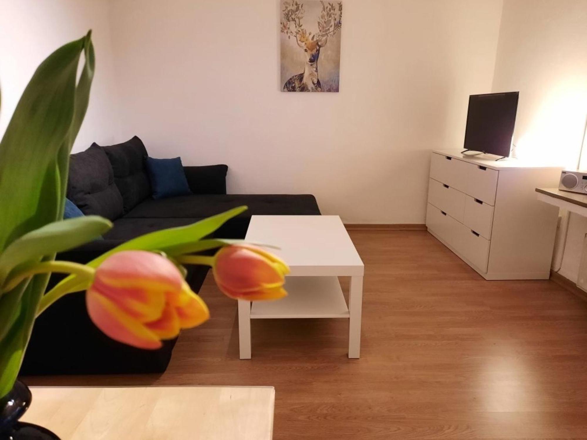Nelke63 Apartment Nordhorn Exterior photo